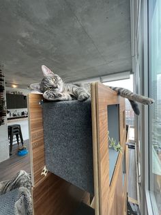 a cat laying on top of a bed in a room next to a large window