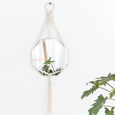 a mirror hanging on the wall next to a potted plant and a white wall