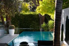 an empty pool surrounded by greenery and trees in the back yard is seen through a glass door