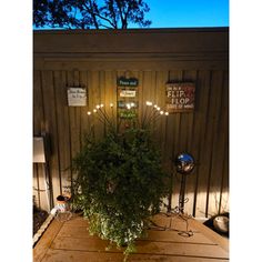 a potted plant sitting on top of a wooden table