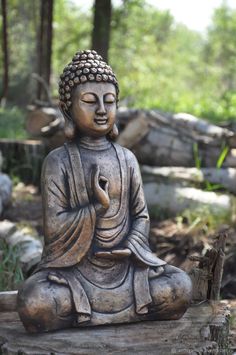 a buddha statue sitting on top of a tree stump