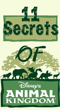 an animal kingdom poster with the title 11 secrets of disney's animal kingdom on it