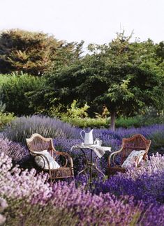 two wicker chairs sitting next to each other in front of purple flowers and trees