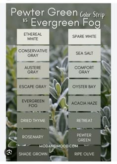 the different types of evergreen fogs are shown in this graphic above it is an image of