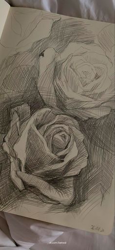 a pencil drawing of a rose on a piece of paper