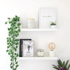 two white shelves with plants and pictures on them