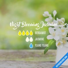 Jasmine Essential Oil Blends, Essential Oil Perfumes Recipes, Essential Oil Combinations, Essential Oil Diffuser Blends Recipes, Perfume Recipes, Jasmine Essential Oil, Essential Oils Guide, Essential Oil Diffuser Recipes, Oil Diffuser Recipes