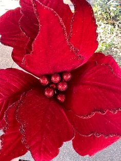 a red flower with green leaves on it