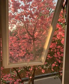 pink flowers are seen through the window in this view from inside a room with large windows