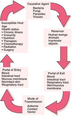 the circular diagram shows the stages of treatment and recovery for men with endomesism