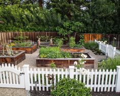 a white picket fence surrounding a garden filled with lots of plants