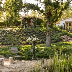 a chair and table in the middle of a garden with trees, bushes and flowers