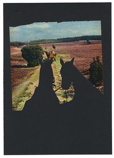 two horses standing next to each other on a dirt road in front of a field