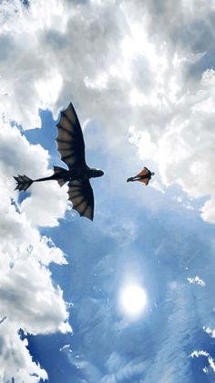 two birds flying in the sky with clouds