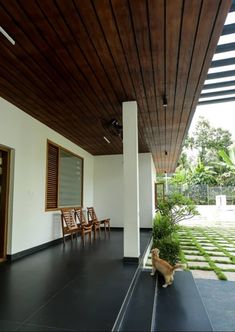 a dog is sitting on the black floor in front of a white wall and wooden ceiling