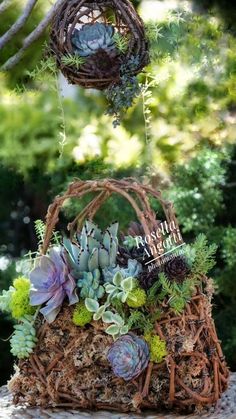 a basket filled with succulents and plants hanging from it's sides