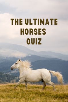 a white horse running across a field with mountains in the background and text that reads, the ultimate horses quiz