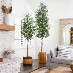 a living room filled with furniture and a potted tree in front of a fireplace