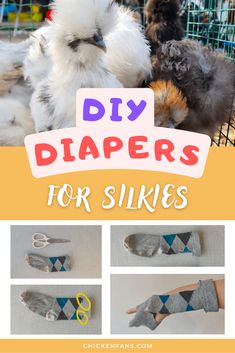 chickens and chicks in cages with text overlay that says diy diapers for silks