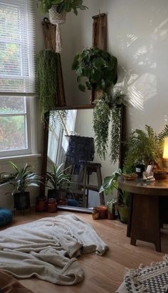 a living room filled with lots of plants next to a large mirror and lamp on top of a hard wood floor