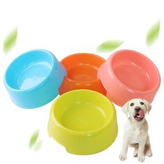 1pcs Pet Bowl Cat Bowl Dog Food Feeder Cat Waterer Feeder Cat Puppies Feeding Supplies Small Dog Accessories Dog Bowl #promotion