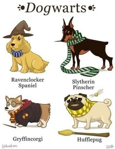 four different types of dogs wearing scarves and sweaters with the words dogwartts