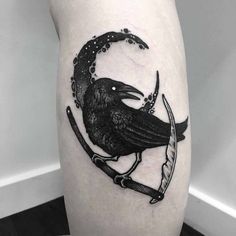 a black bird sitting on top of a branch with an arrow in it's beak