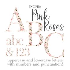 pink roses uppercase and lowercase letters with numbers and puncturition - png files