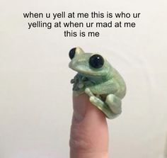 a small green frog sitting on top of a person's finger with the caption when u yell at me this is who yelling at when ur mad at me