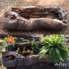 the before and after pictures show how to make a log planter in your garden