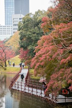 people walking on a bridge over a pond in a city park with trees and flowers