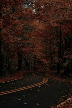 an empty road surrounded by trees in the fall