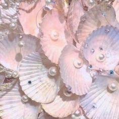 seashells with pearls and jewels are arranged in a pattern on the bottom right side