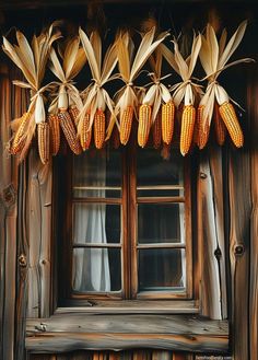 corn on the cob hanging from a window sill in front of an old wooden building