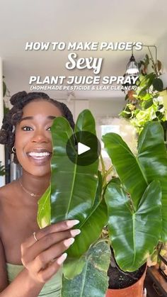 98K views · 21K reactions | CLEAN THOSE LEAVES! 🪴🧽💦
—-
Here is how I make my sexy plant juice spray:
- 2 cups of water 
- 2 tablespoons of neem oil 
- 1 tablespoon of peppermint castle soap 
- 1 teaspoon of isopropyl alcohol 

BONUS: use a microfiber cloth gloves to ensure that you are cleaning those leaves! @instantplantfood got you covered if you need some! 20% off your order using code “BLOSSOMEFFECT” at checkout. 

#plantmom #plantlover #plantsoftiktok #plantsmakepeoplehappy | Blossom Effect | blossomeffect_ · Original audio Castle Soap, Peppermint Soap, Plant Mama, Isopropyl Alcohol, Veg Garden, Neem Oil, Room With Plants, Plant Mom