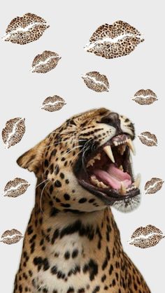 a leopard with its mouth open and it's teeth wide open