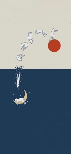 an image of birds flying over the ocean and dog swimming in the water with red ball on its back