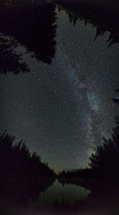 the night sky is filled with stars and trees