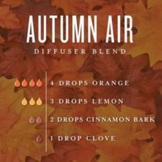 Fall Essential Oil Blends, Helichrysum Essential Oil, Essential Oils For Babies