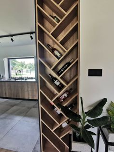 a tall wooden shelf filled with lots of bottles next to a plant in a living room