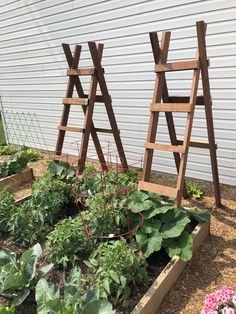 two wooden ladders are standing next to a garden bed with vegetables growing in it