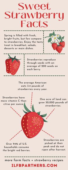 6 Fun Farm Facts About Strawberries Strawberry Facts, Farm Facts, Fruit Facts, 10 Fun Facts, Spring Crops, Spring Staples, Chocolate Dreams, Rose Family, Fascinating Facts