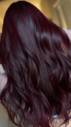 Hair Color Ideas Cherry Red, Wine Red Hair On Black Hair, Red Colour On Black Hair, Dark Maroon Hair Color, Blackberry Burgundy Black Hair, Chocolate Cherry Red Hair Color, Black Cherry Red Hair Color, Cherry Black Hair Color Burgundy, Cherry Black Hair Color Dark Brown