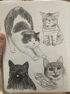 a person holding up a book with cats drawn on it