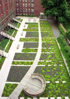 an aerial view of a green roof garden in the middle of a brick building with trees and buildings behind it