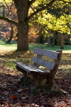 a wooden bench sitting in the middle of a park filled with leaves on the ground