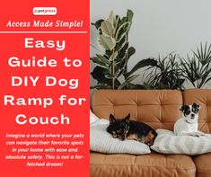 two dogs sitting on a couch with the text easy guide to diy dog ramp for couch