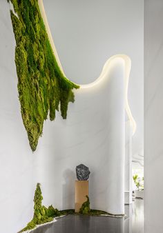 moss growing on the side of a white wall next to a vase with a rock in it