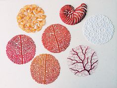 four different types of leaf shapes on a white table top with dots and circles around them