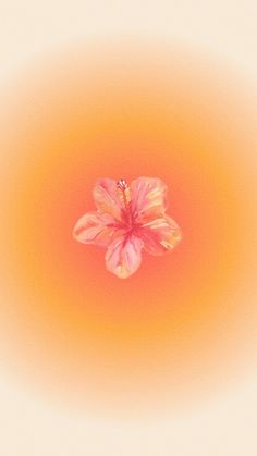 an orange and pink flower in the middle of a yellow circle